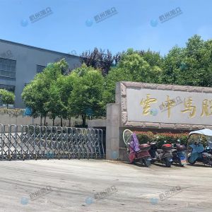 松陽的客戶，調(diào)試30型包子機(jī)完成！