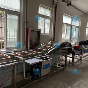 果蔬氣泡清洗機風干流水線多少錢？