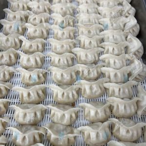 JGB-10型一體式餃子機現場試機，效果棒棒噠！！??！